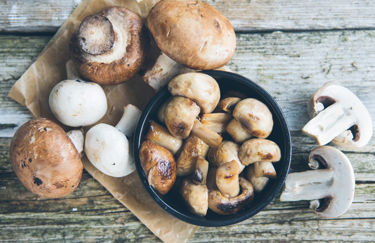 Your ultimate mushroom growing guide