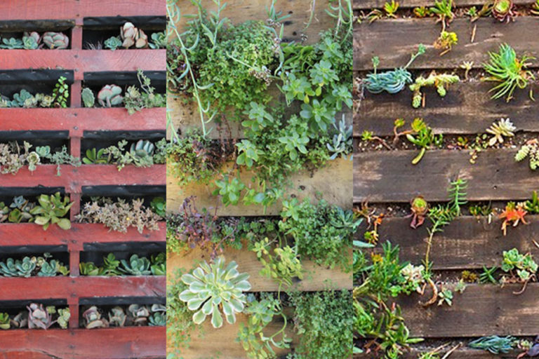 Vertical pallet gardens, Handyman Magazine, blog