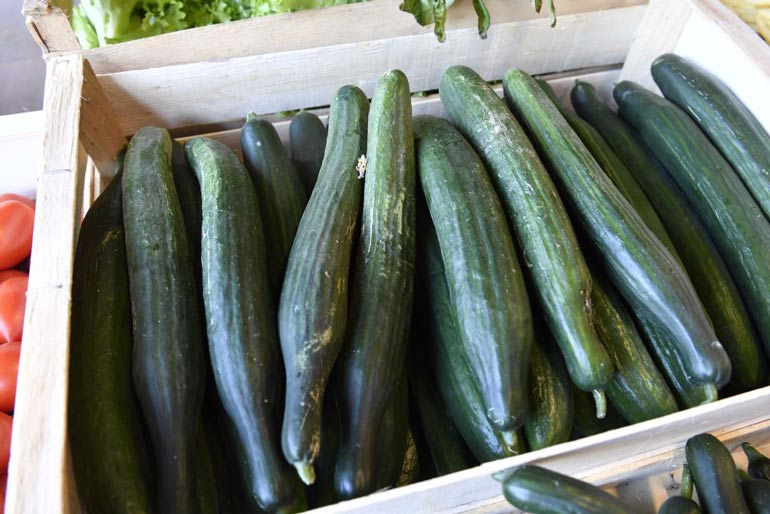 Cucumbers