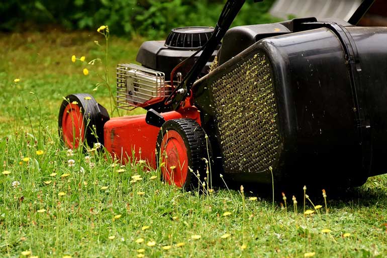 4. Miffed by the Mower