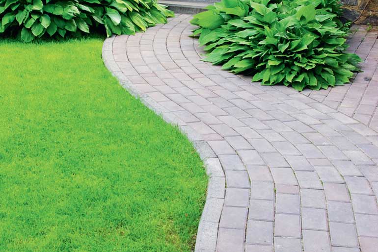 2. Guide To Paved Paths 