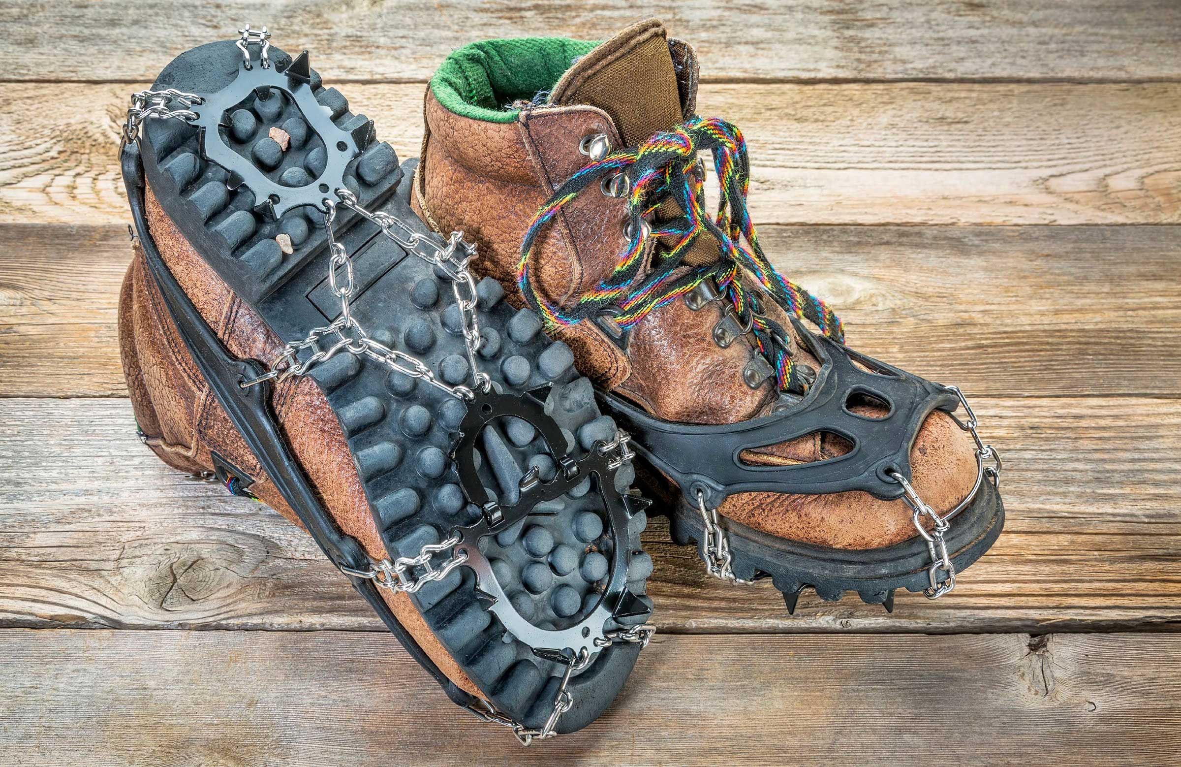 Never hire an arborist who uses any kind of climbing spikes, unless he’s taking the tree down