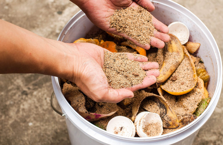 Consider recycling sawdust as compost